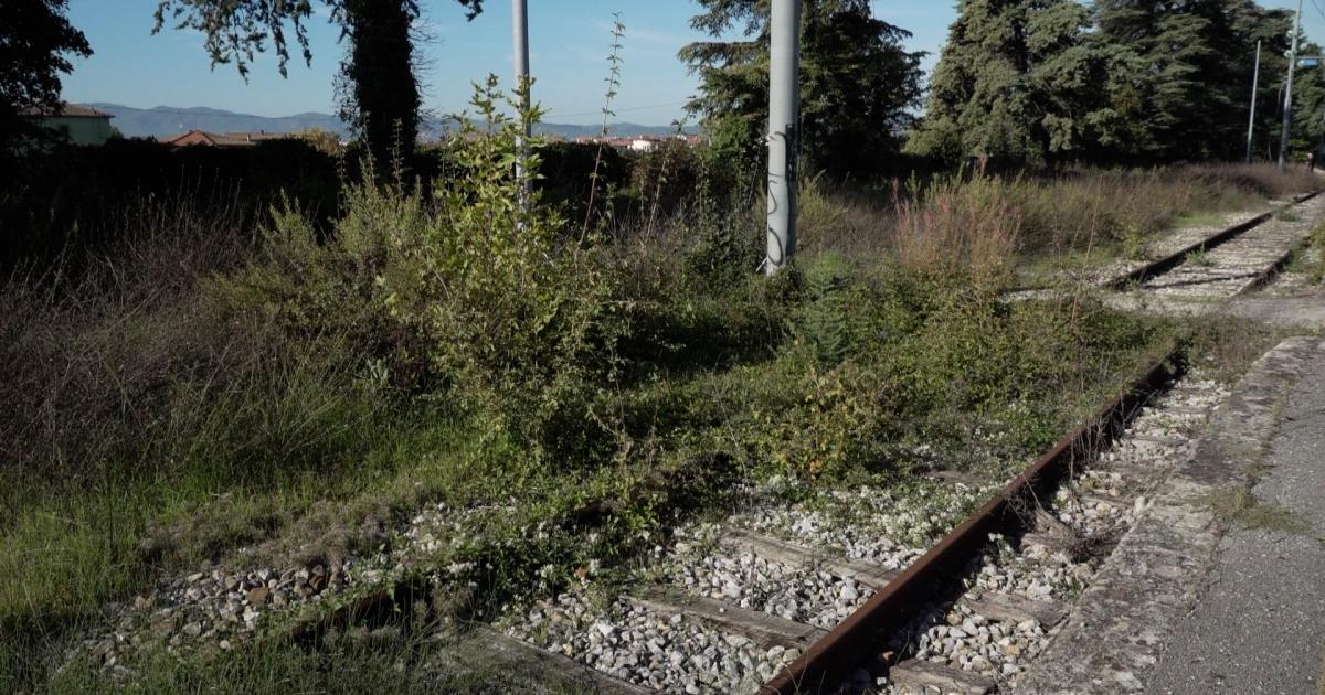 Sansepolcro: erba alta e incuria alla stazione, la rabbia del sindaco
